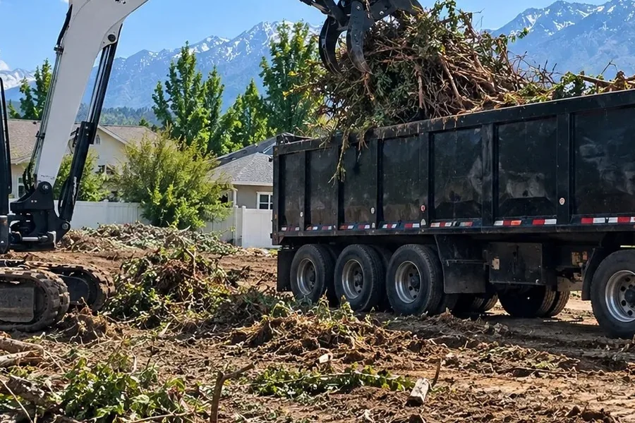 Forestry mulcher clearing brush on a Utah lot